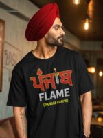 punjab flame 3